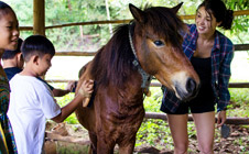 Poney riding with our 2 horses - Eco Lodge - Laos